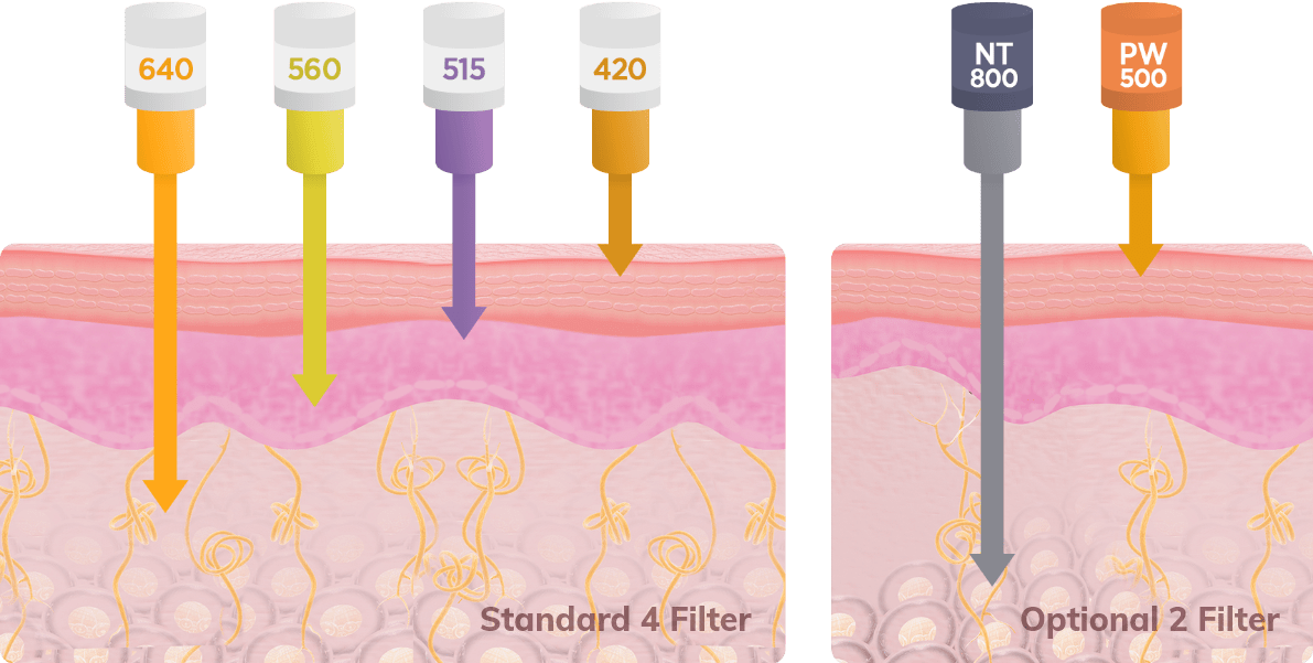 5d70f2_d79c840c8e37404da7ee270212514662~mv2